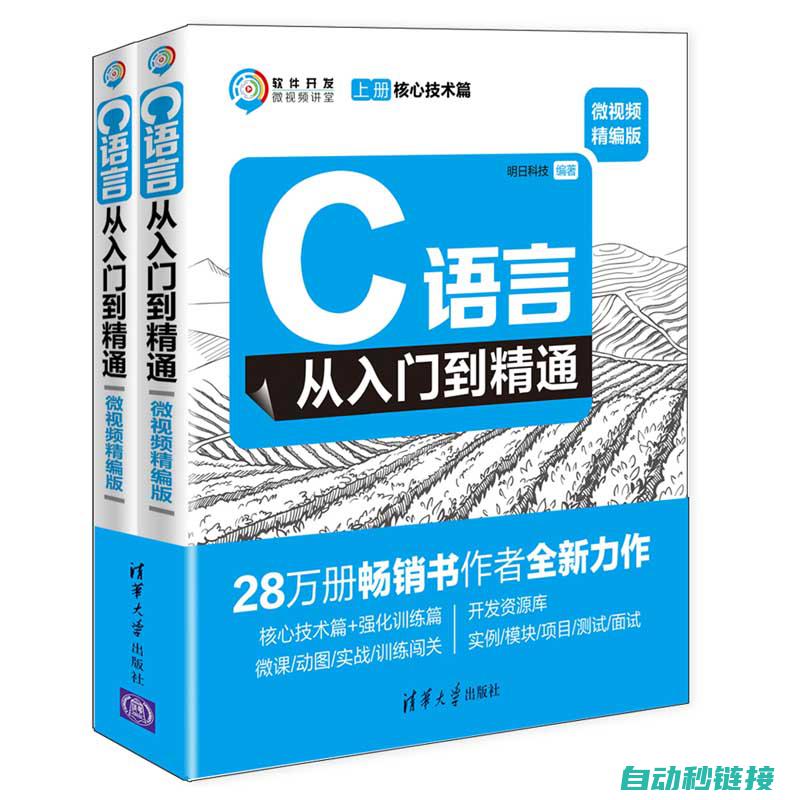 从入门到精通的技巧分享与案例解析 (从入门到精通的开荒生活百度网盘)