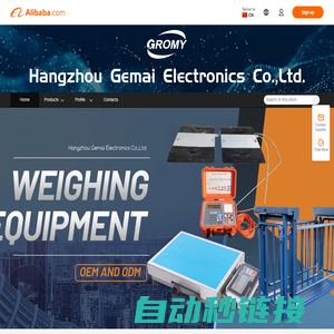 Company Overview - Hangzhou Gemai Electronics Co., Ltd.